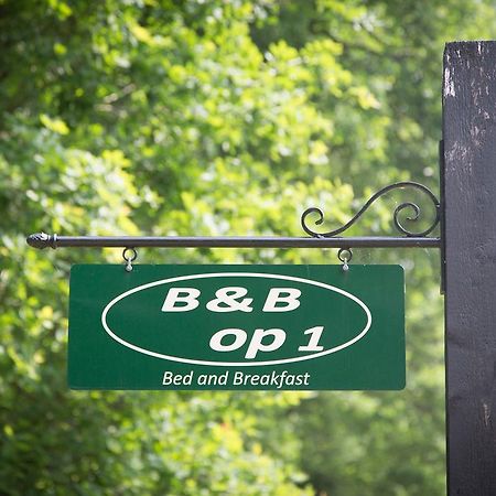 Bed & Breakfast Orvelte Kültér fotó